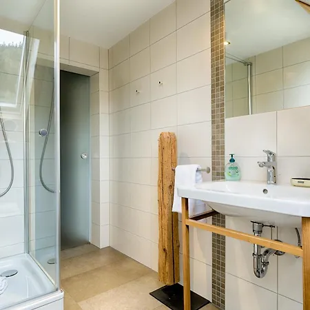 公寓 Albhof Am Wasserfall 圣布拉辛