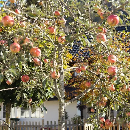 Albhof Am Wasserfall 公寓 *