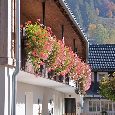 Albhof Am Wasserfall 圣布拉辛