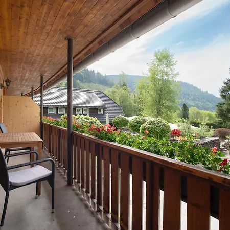 Albhof Am Wasserfall 圣布拉辛